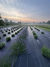 Stone Prairie Farm LLC