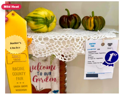 Gallery Image award.png