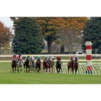 2025 BXKY Fall Keeneland Tailgate