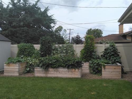 Raised Vegetable Garden Beds