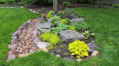 Rain Garden