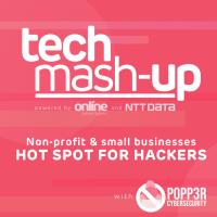 Tech Mash Up: Non-Profit and Small Businesses - Hot Spot for Hackers