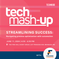 Tech Mash-up: Streamlining Success: Navigating Process Optimization with Automation