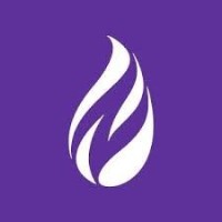 Beyond ChatGPT: Your Practical AI Toolkit for 2026