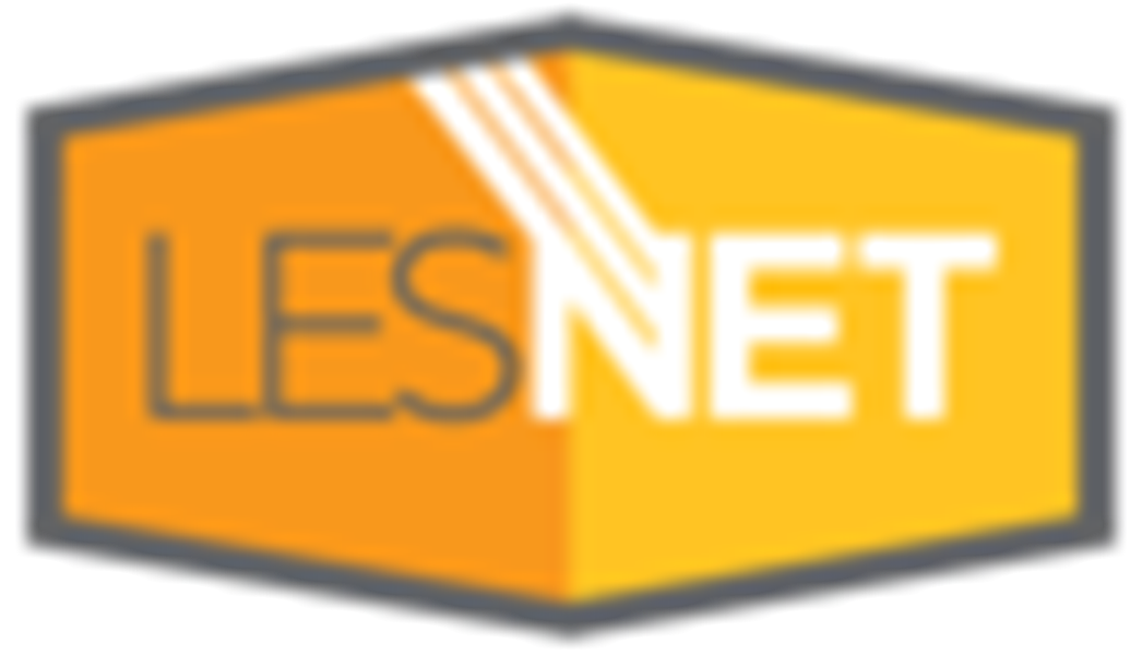 Les.Net Inc. Les.Net Inc.