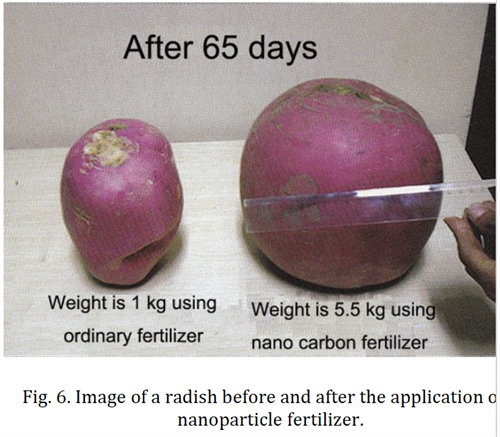 Gallery Image QQ20250102-002321.png