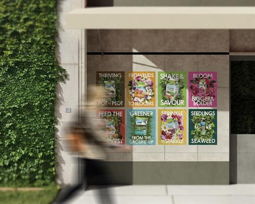 Ad Design for Acti-Sol 