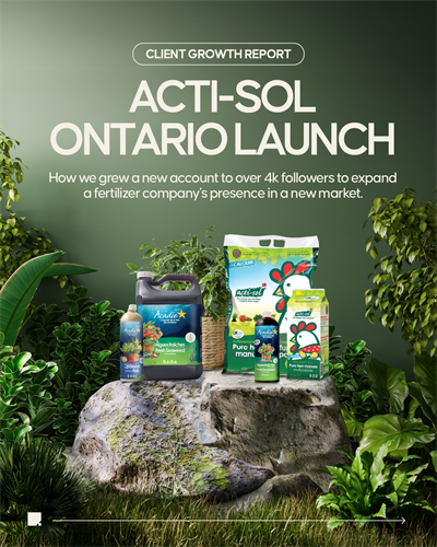 Acti-Sol Social Media Case Study