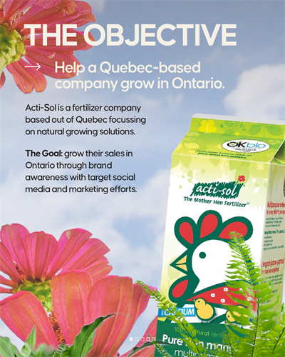 Acti-Sol Social Media Case Study