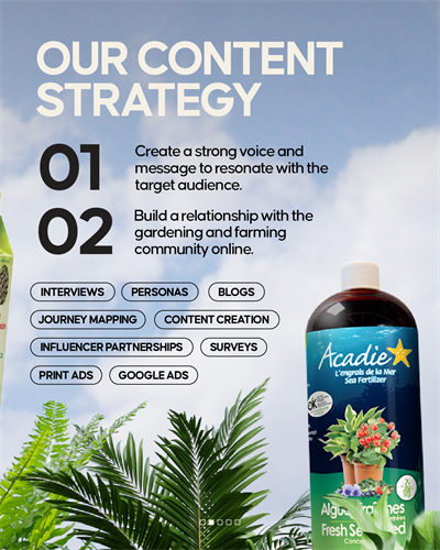 Acti-Sol Social Media Case Study