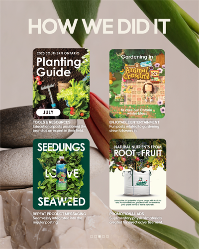 Acti-Sol Social Media Case Study