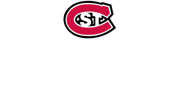 Image for SCSU ALUM DRIVES ENGINEERING SUCCESS FROM HUSKY FORMULA RACING