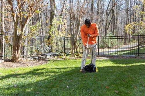 Residential and commercial pet waste removal