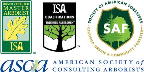 Gallery Image Combined_Logos.png