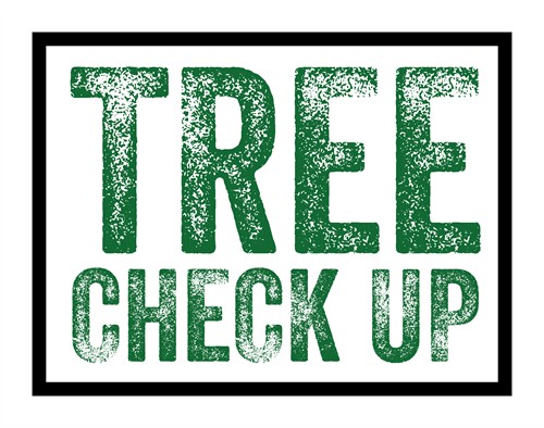 Gallery Image Tree_Check_Up_logo_white_background.jpg