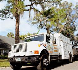 JDS TREE SERVICE & LANDSCAPING INC.