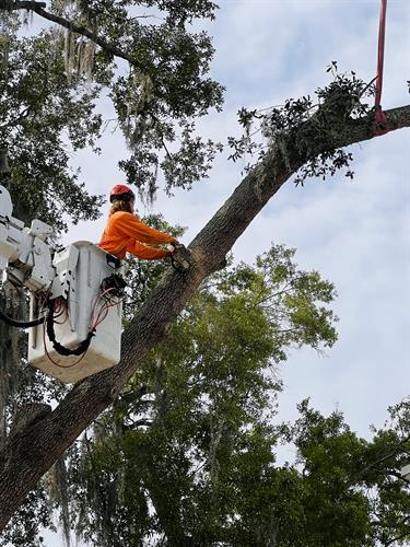 Gallery Image IMG_1.jpg Gallery Image IMG_1.jpg