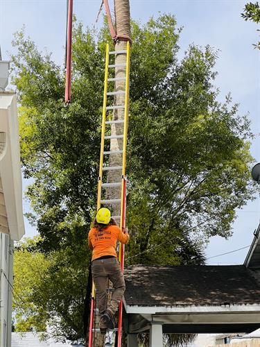 Gallery Image IMG_4.jpg Gallery Image IMG_4.jpg