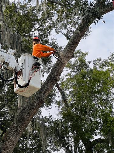 Gallery Image IMG_6239.jpg Gallery Image IMG_6239.jpg