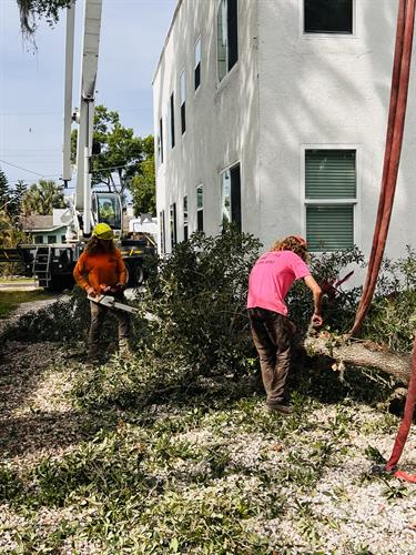 Gallery Image IMG_6246.jpg Gallery Image IMG_6246.jpg