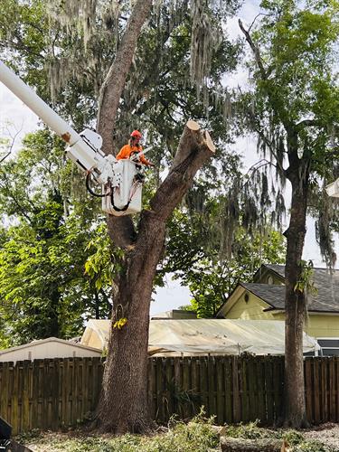 Gallery Image IMG_6271.jpg Gallery Image IMG_6271.jpg