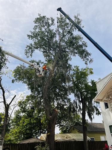 Gallery Image IMG_6301.jpg Gallery Image IMG_6301.jpg