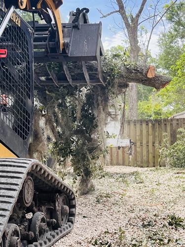 Gallery Image IMG_7.jpg Gallery Image IMG_7.jpg