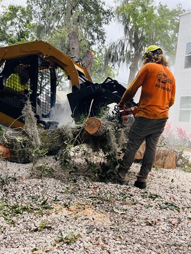 Gallery Image IMG_8.jpg Gallery Image IMG_8.jpg