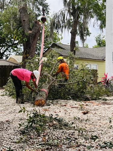 Gallery Image IMG_9.jpg Gallery Image IMG_9.jpg