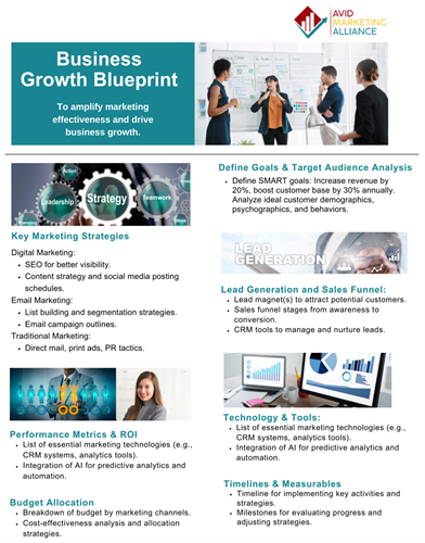 Creating Unique Business Growth Strategies for Clients, Training and/or Implementation Services  (if needed)