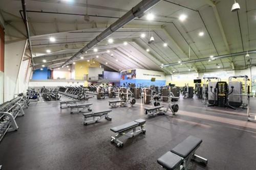 Gallery Image Pin_Loaded_Machines.jpg