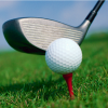 45th Annual Denver Golf Outing Presented by HERRON Enterprises USA 8/7/2023