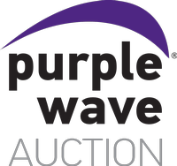 Purple Wave Auction