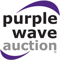 Purple Wave Auction