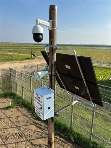 solar sentry