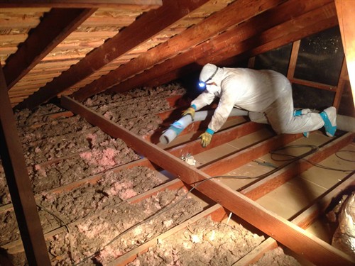 ATTIC CLEANING