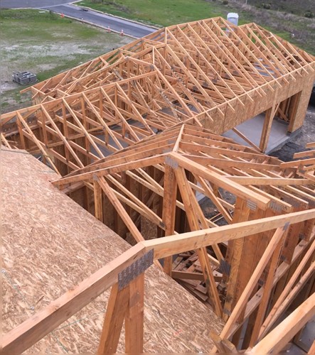 Gallery Image Roof_Framing._Paintbrush.jpg