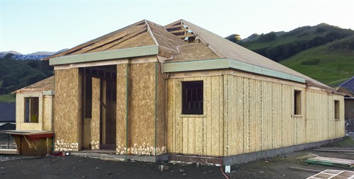 Gallery Image Sheeting_2._Paintbrush.jpg