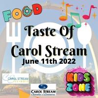 Taste of Carol Stream - Geek Fest 