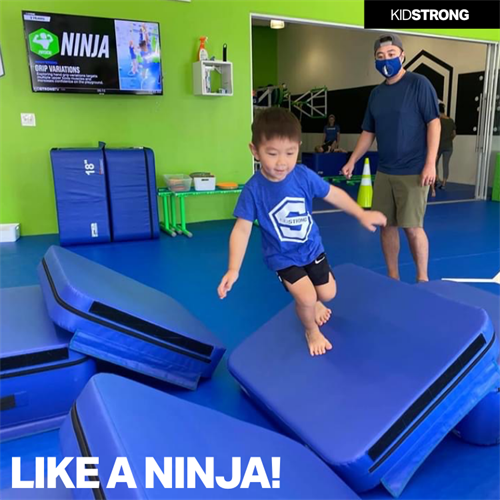 Like a Ninja
