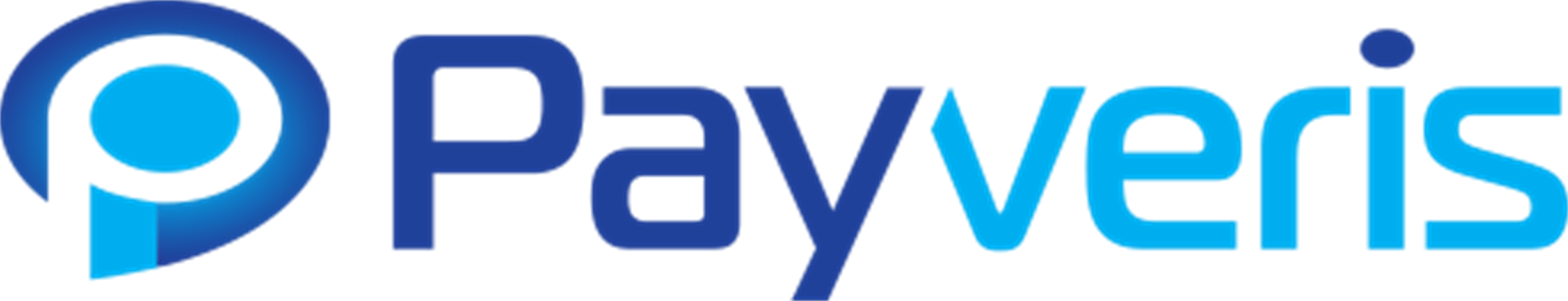 PAYVERIS PAYVERIS