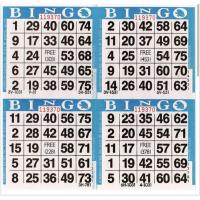 Bingo Benefiting Business - Cinco de Mayo!!
