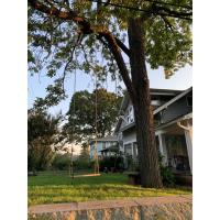 Tree Canopy Protection Ordinance Amendments Overview & Q & A with the City of Asheville