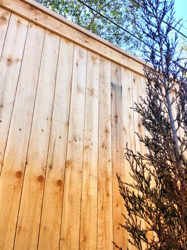 8' tall cedar Cap & Trim fencing