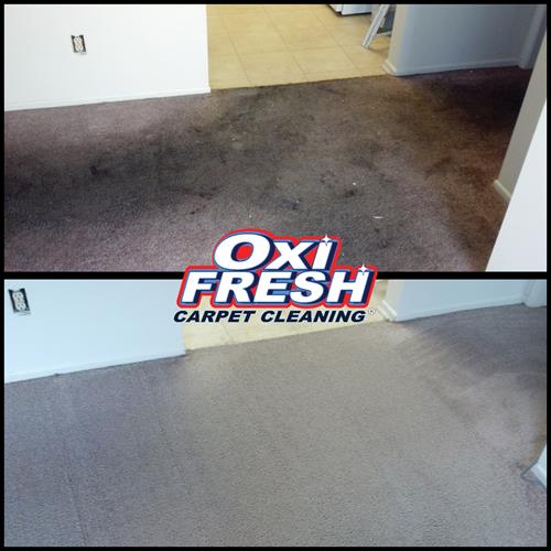 Carpet Before/After