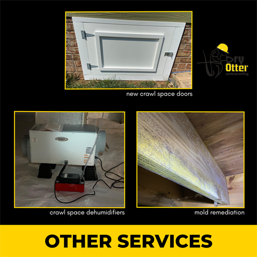 Install dehumidifiers, sump pumps, clean mold in crawlspaces