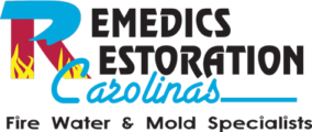 Gallery Image Logo-Remedics-Vector-e1523370918885.png