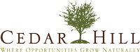 Cedar Hill Economic Development
