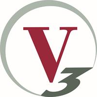 V3 Companies