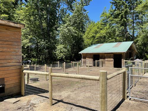900’ of horse fence with new gates